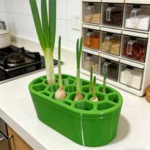 1套葱苗繁殖套装 - 无需任何技巧，轻松在家种植葱 | 适用于阳台、窗台及小空间 | 系统紧凑 | 葱苗快速再生 - A - 查看 2