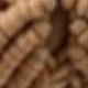 Màu Khaki