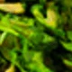 Spring Green