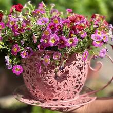 Rustikaler Blumentopf in Form einer Kaffeetasse aus Eisen – Leichter, runder Metallpflanztopf mit dekorativen Griffen, geeignet für drinnen und draußen, Garten, Balkon oder Tisch, für Sukkulenten, Blumen und Pflanzen - Weiß - Übersicht 5