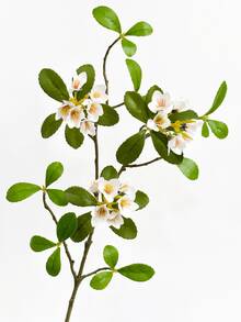 1/2/3pcs Artificial Hawthorn Flowers, 45cm Fake Flowers For Wall, Living Room, Bedroom, Wedding, Party Decor, Tabletop Filler, Home, Desktop Decor, Kitchen, Wedding, Tabletop, Centerpiece, Office, Garden, Outdoor, House, Yard Decoration, Suitable For Spring, Summer, Autumn, Winter - White - View 6