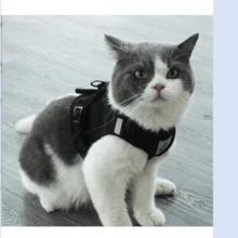 1 Set Adjustable Breathable Cat Leash And Harness, Escape-Proof Pet Apparel Suitable For Small Cats, Small Dogs And Other Pets, Easy To Control, With Reflective Design - Black - View 1