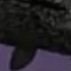 Purple Crow