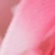 Laser Butterfly Vine - Gradient Pink