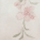 Nhiều màu