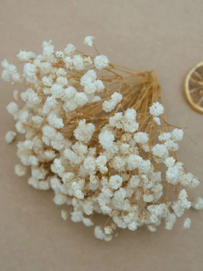 25/50/100/300 piezas de Flores de Nube de Bebé Preservadas, para Aromaterapia, Arreglos Florales, Decoración del Hogar, Accesorios para el Cabello, Coronas de Boda