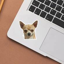 Hình dán hài hước chú chó đang phán xét, "Đúng vậy, tôi đang phán xét bạn đấy", hình mèo đeo mặt nạ, decal vinyl chống thấm nước cho laptop, xe hơi, xe tải, bình nước - bề mặt mờ, tự dính, thiết kế đa năng, hình dán xe hơi. - đĩa than - Xem 6