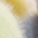 彩色