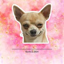 Hình dán hài hước chú chó đang phán xét, "Đúng vậy, tôi đang phán xét bạn đấy", hình mèo đeo mặt nạ, decal vinyl chống thấm nước cho laptop, xe hơi, xe tải, bình nước - bề mặt mờ, tự dính, thiết kế đa năng, hình dán xe hơi. - đĩa than - Xem 3