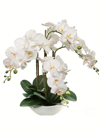 5支逼真蝴蝶兰花束，花头大，花茎纤细，经典风格人造兰花，丝绸蝴蝶兰花枝，适合家居装饰、客厅、酒店婚礼花艺布置、母亲节、春夏装饰、白色婚礼花束、复活节装饰礼物、生日礼物、毕业典礼等。