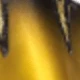 Gold 02