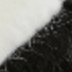 Đen và trắng