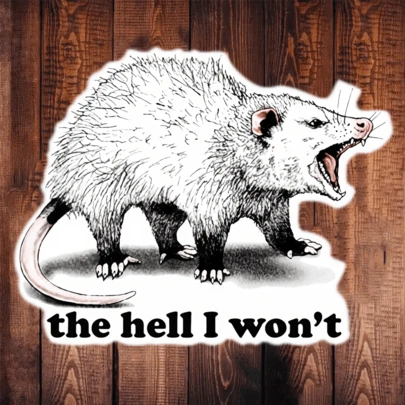 1PC 3 Inch Removable Waterproof Outdoor PVC Durable Vinyl Decal Sassy Hissing Opossum "The Hell I Won't" Funny Meme Defiant Animal Quote Gen Z Sarcastic Humor Viral Meme Style Perfect For Laptop Phone Water Bottle Skateboard Helmet Journal Car Bumper Notebook Dorm Decor Travel Luggage Ideal Gift For Teens Girls Boys Meme Lovers Sarcastic Friends Ages 13-30 Creative Decorative Sticker Waterproof Vinyl Decal For Any Smooth Surface