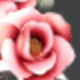 彩色