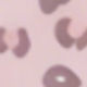 Pink Leopard Print
