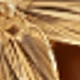 Amarillo Oro