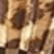 Nhiều màu
