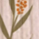 متعدد الألوان