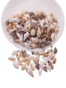 40g Random Mixed Fashionable 3D Ocean Series Shell, Pearl, Turquoise, Turtle, Starfish Beads Handmade Materials For Women Earrings, Bracelets, DIY Jewelry Accessories - Random Mixed Shells - View 9