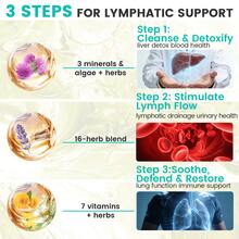 MONTUE USDA Organic Lymphatic Drainage Supplement - Echinacea | Elderberry | Dandelion | Rosehip | Cleavers | Calendula | Burdock - Made In USA - Lymph System Drops - Immune Support, Cleanse & Detox, 2 Fl Oz - 2個 - 查看 4