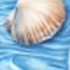 彩色