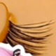 Half Eyelashes