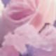 Purple Flowers