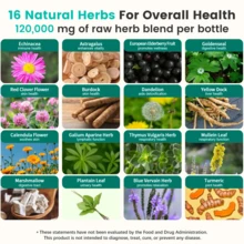 MONTUE USDA Organic Lymphatic Drainage Supplement - Echinacea | Elderberry | Dandelion | Rosehip | Cleavers | Calendula | Burdock - Made In USA - Lymph System Drops - Immune Support, Cleanse & Detox, 2 Fl Oz - 2個 - 查看 5