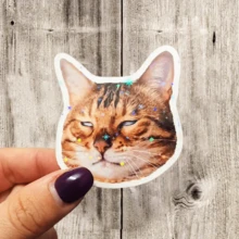 Sarcastic Cat Sticker | Grumpy Face Sticker | Personalized Sticker For Water Bottle, Hamster Holding Bottle Sticker | Funny Drunkard Expression Sticker | Waterproof Vinyl Sticker For Water Bottle, Luggage - Durable Matte Surface, Self-Adhesive Bumper Sticker, Suitable For Car, Window, Laptop, Truck, Van, Water Bottle - Multipurpose Durable Design, Car Sticker - Vinyl - View 17