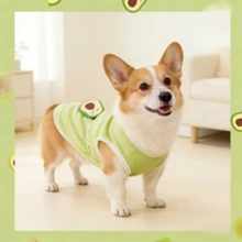 Cute Avocado Cartoon Pet Dog Vest Tank Top, Puppy Summer Shirt For Small Dogs Daily Wear - Multicolor - View 1