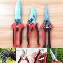 3件套不锈钢园艺剪套装 - 现代风格家用盆景修剪剪、果枝剪、蒜剪，弯刃设计 - 无需电源，必备家居修缮工具 - 雙色尖頭剪刀 - 查看 5