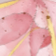 彩色