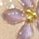 Màu Lilac Tím