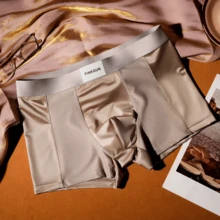 Light Luxury Satin Ice Silk Men's Boxers, Mulberry Silk Antibacterial Crotch, Seamless Breathable Nude Feel Trunks - 香檳色 - 查看 6