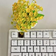 【不透明果冻白雕刻键帽】130+ PBT材质雕刻OEM高度全套键帽，DIY定制机械键盘键帽，兼容Cherry/Gateron MX轴，60%配列（61/64/68/75/84/87/98/104/108键），不透明雕刻，果冻白，PBT材质，永不油腻 - 查看 8