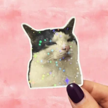 Nhãn dán mèo khó chịu, nhãn dán biểu cảm mèo hài hước và châm biếm, nhãn dán cá nhân hóa cho bình nước, hành lý, nhãn dán lỗi hệ thống XP cổ điển, nhãn dán hài hước "Nhiệm vụ thất bại thành công", đồ trang trí hài hước dành cho lập trình viên, nhãn dán vinyl chống thấm nước - bề mặt mờ bền, nhãn dán tự dính, thích hợp cho ô tô, cửa sổ, máy tính xách tay, xe tải, xe van, bình nước - thiết kế bền đa năng, nhãn dán xe hơi - đĩa than - Xem 2