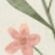 多色花