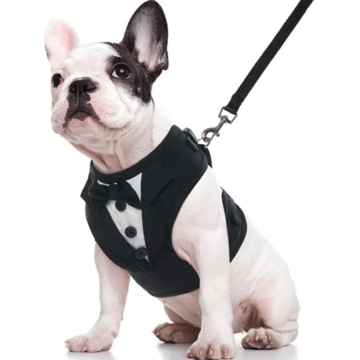 一件狗狗西装背心，配有可调节防拉扯牵引绳，适合小型/中型犬，狗狗婚礼正式礼服，含领结，适合派对装扮