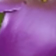 彩色
