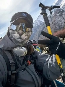 趣味动物印花透气口罩 - 防紫外线颈套，猫狗图案，轻便吸湿，适合骑行、徒步、骑马等户外活动，透气防滑耳带 - 彩色 - 查看 4