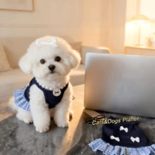 夏季宠物连衣裙，带领结，无袖透气，适合猫咪和小型犬，轻便防掉毛 - 彩色 - 查看 8