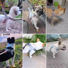 可调节反光小型/中型犬猫背带胸背心，适合柴犬、巴哥犬及其他宠物 - 彩色 - 查看 12