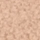 بني فاتح