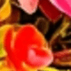 彩色
