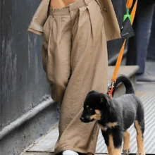 100% Plant-Based Dog Poop Bags, 13 In * 9 In, Dog Poop Bags, ASTM D6400 & EN 13432 Compliant, Dog Poop Bags Rolls, Poop Bags For Dogs , Dog Toilet Bag, Super Thick 100% Leakproof, Dog Waste Bag - View 11