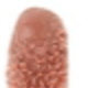 2In1 Lipstick Lipgloss#06