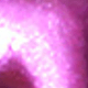 Màu tím