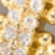 Dorado