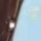 彩色