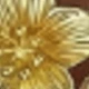 Dorado